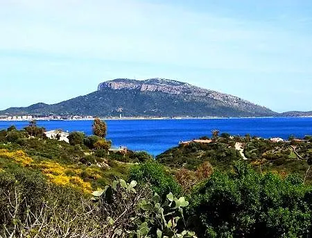 펜션 La Vetrata Sul Mare Pedrosa 골푸아랑시